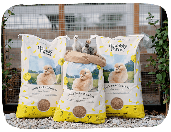 Little Pecks - Grubbly Farms